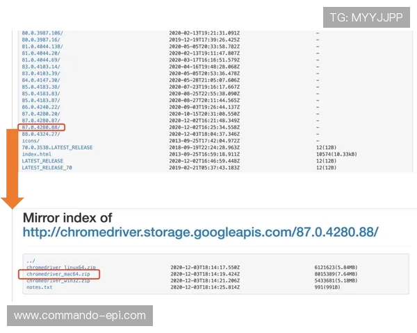 博鱼app官方入口电脑版常见问题解答，解决使用中遇到的各种疑难问题